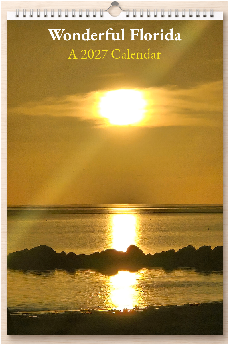 Wonderful Florida: A 2027 Calendar