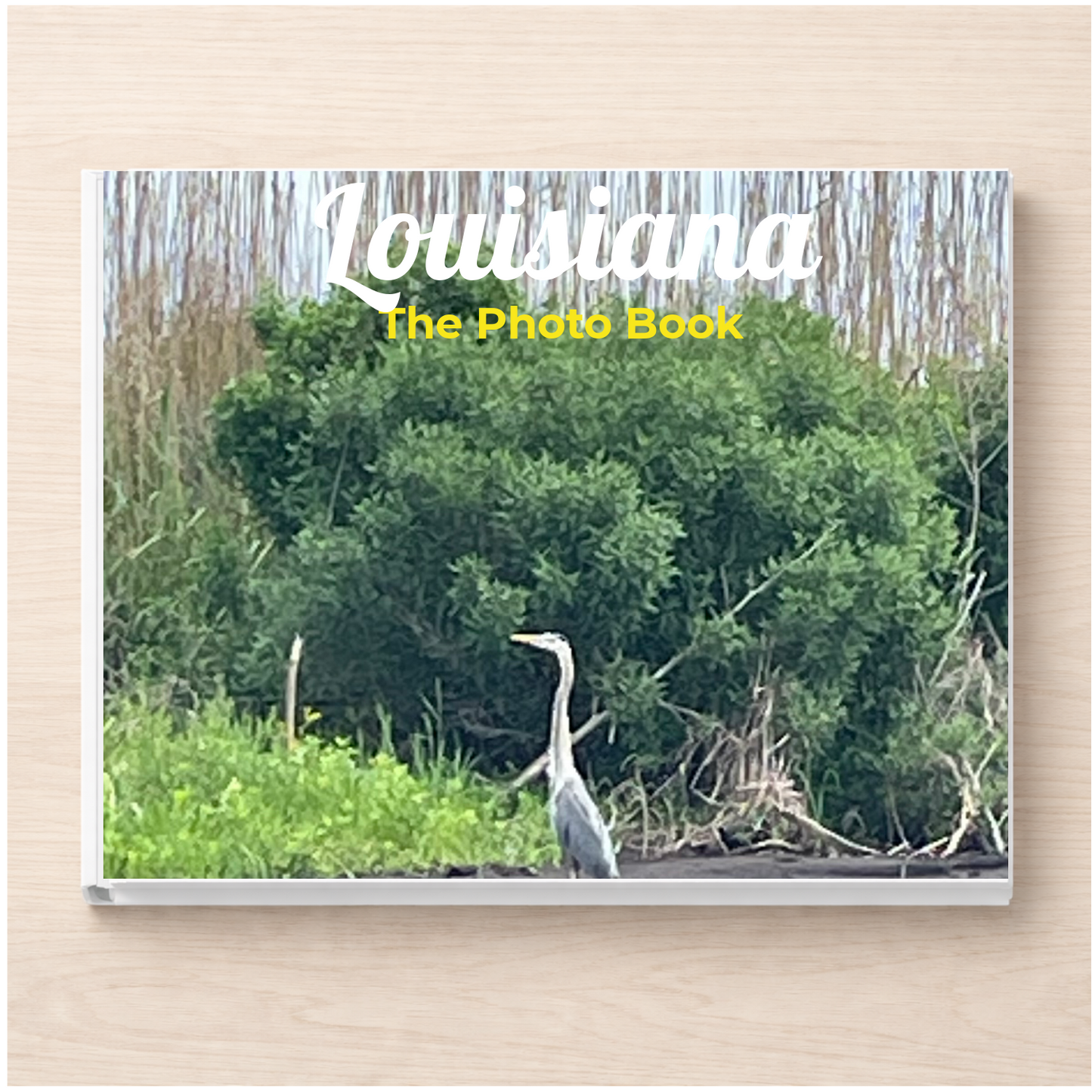 Louisiana: The Photo Book