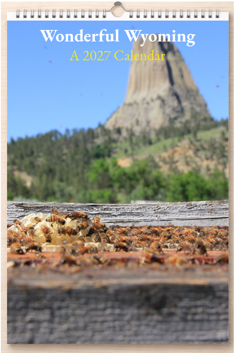 Wonderful Wyoming: A 2027 Calendar