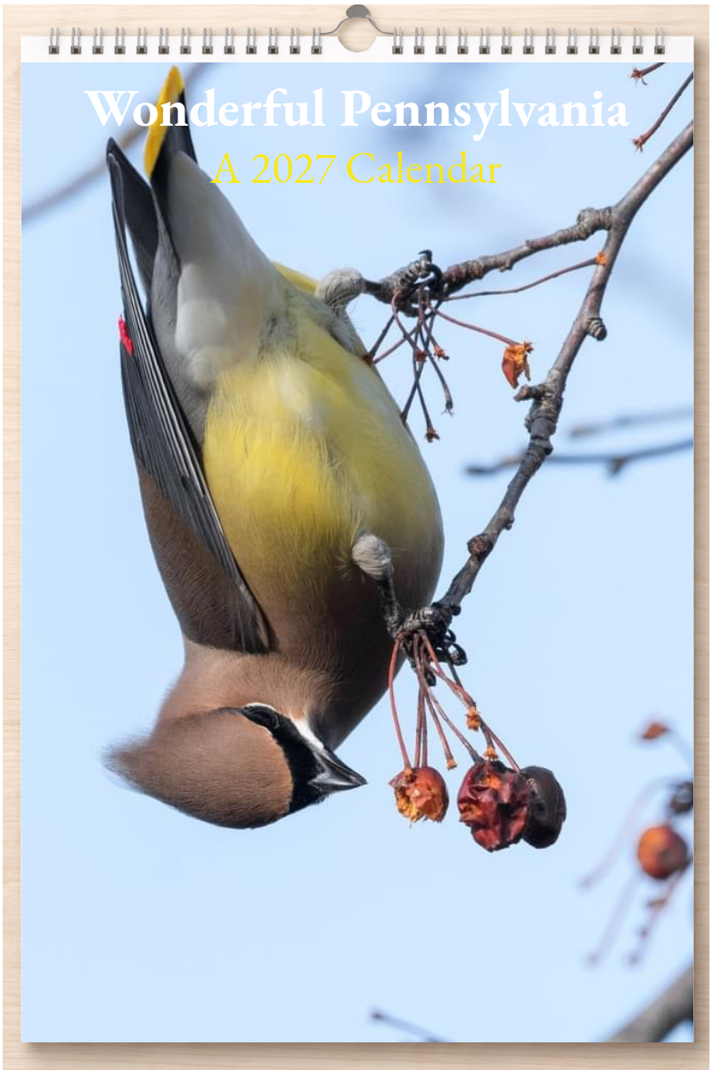 Wonderful Pennsylvania: A 2027 Calendar