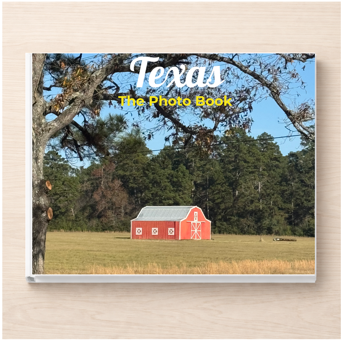 Texas: The Photo Book