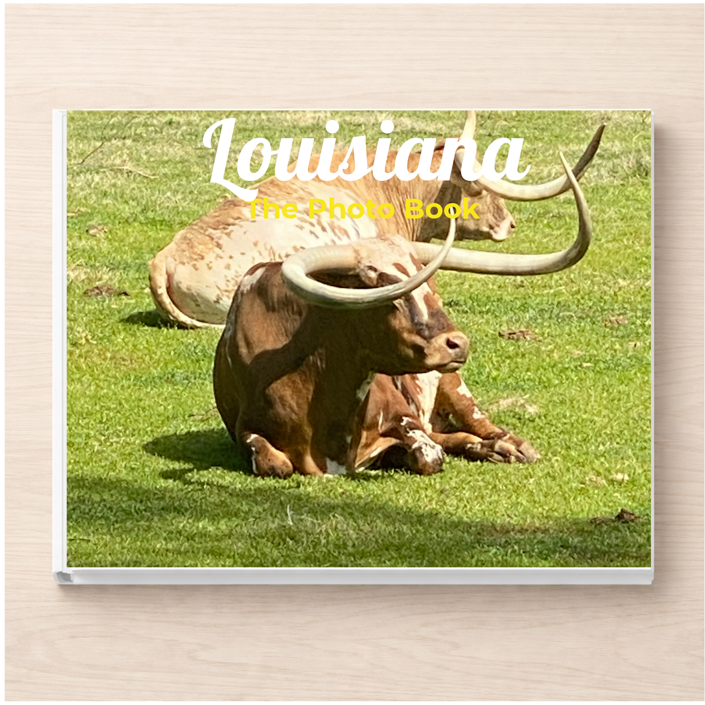 Louisiana: The Photo Book