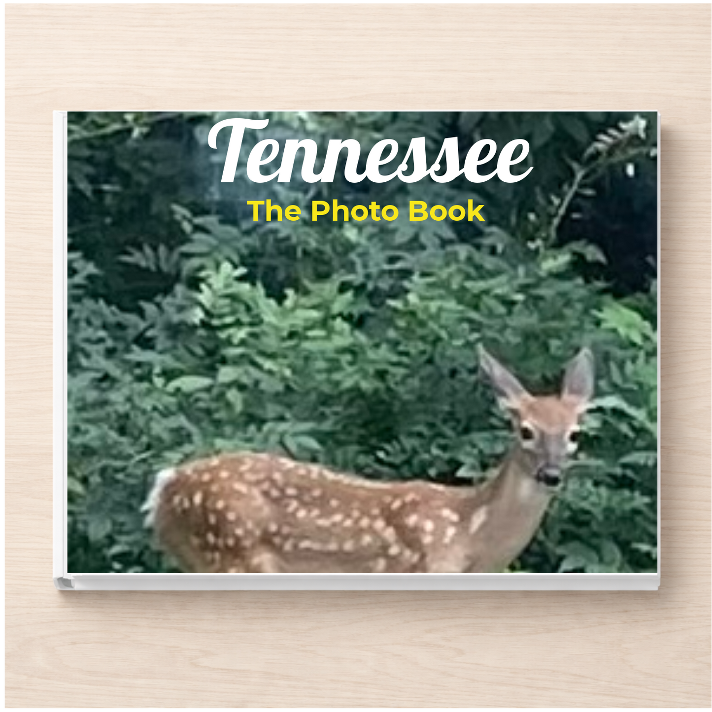 Tennessee: The Photo Book