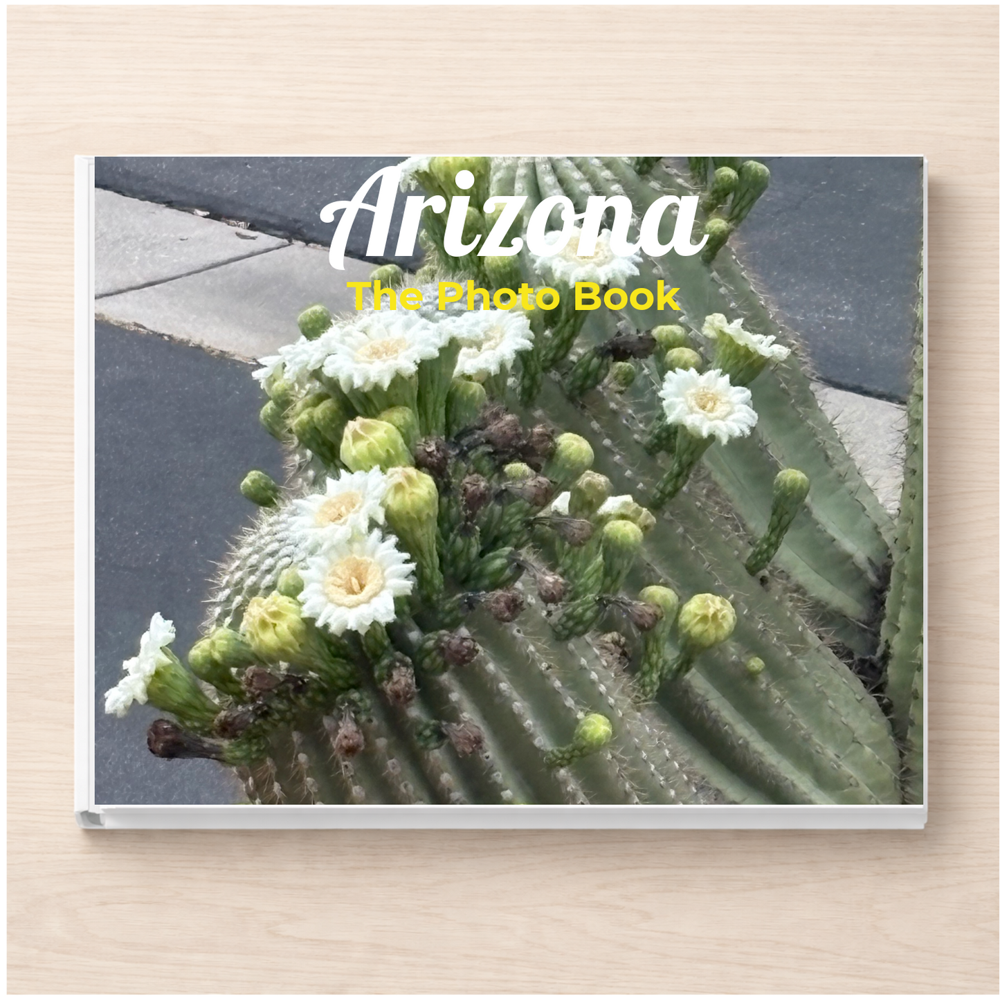 Arizona: The Photo Book