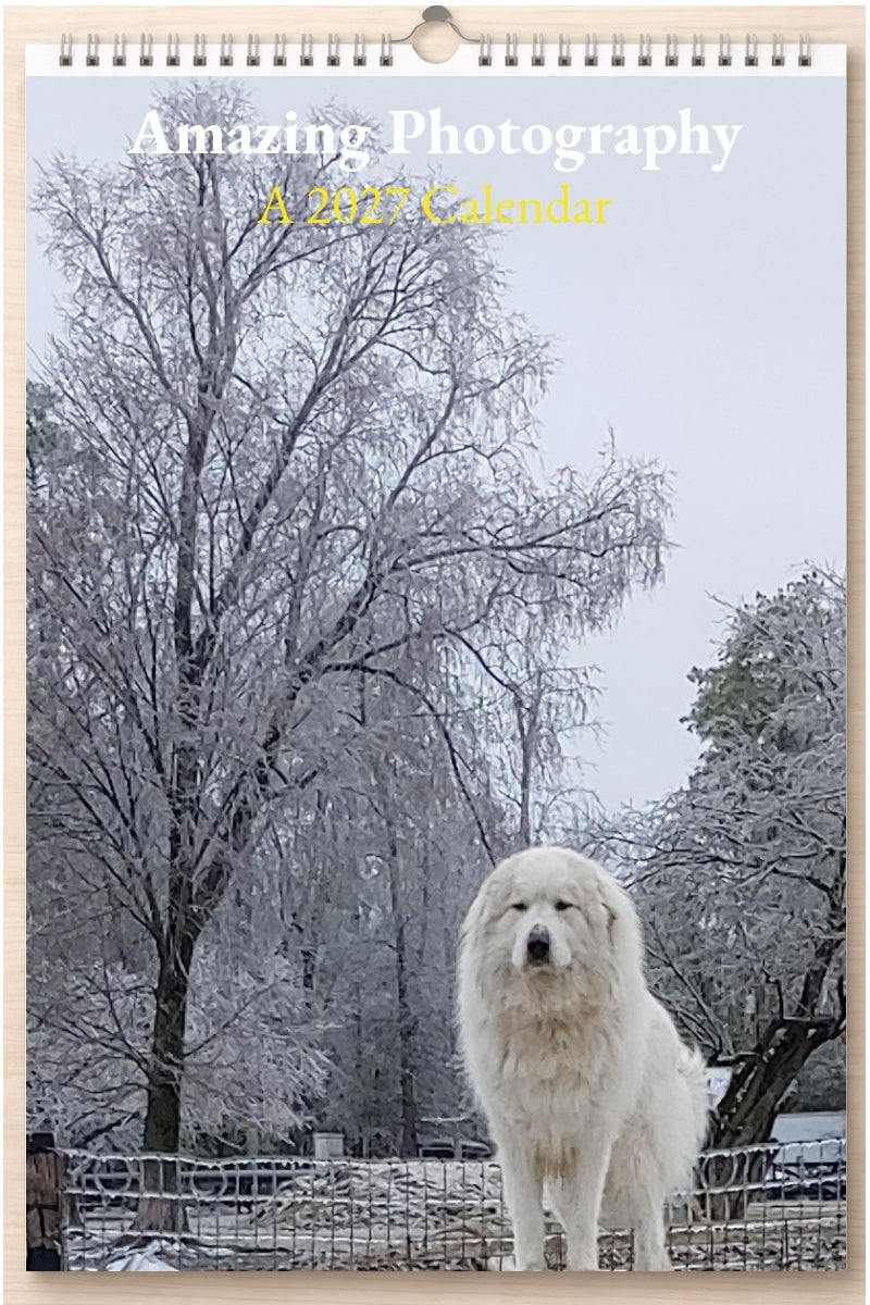 Amazing Photography: A 2027 Calendar