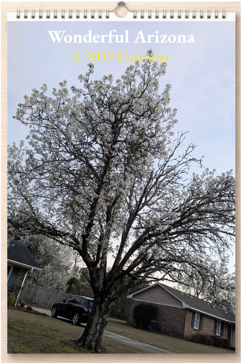 Wonderful Arizona: A 2027 Calendar