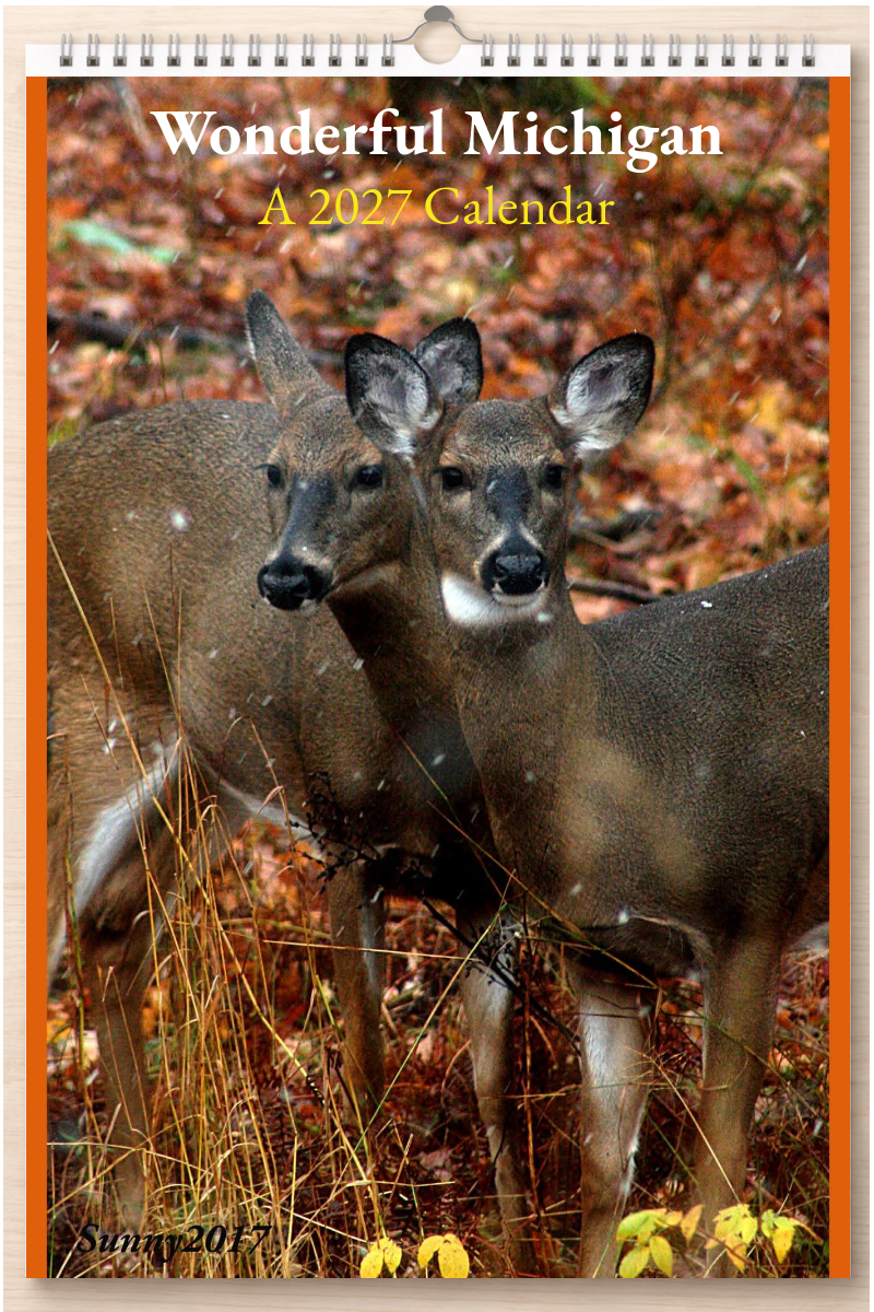 Wonderful Michigan: A 2027 Calendar