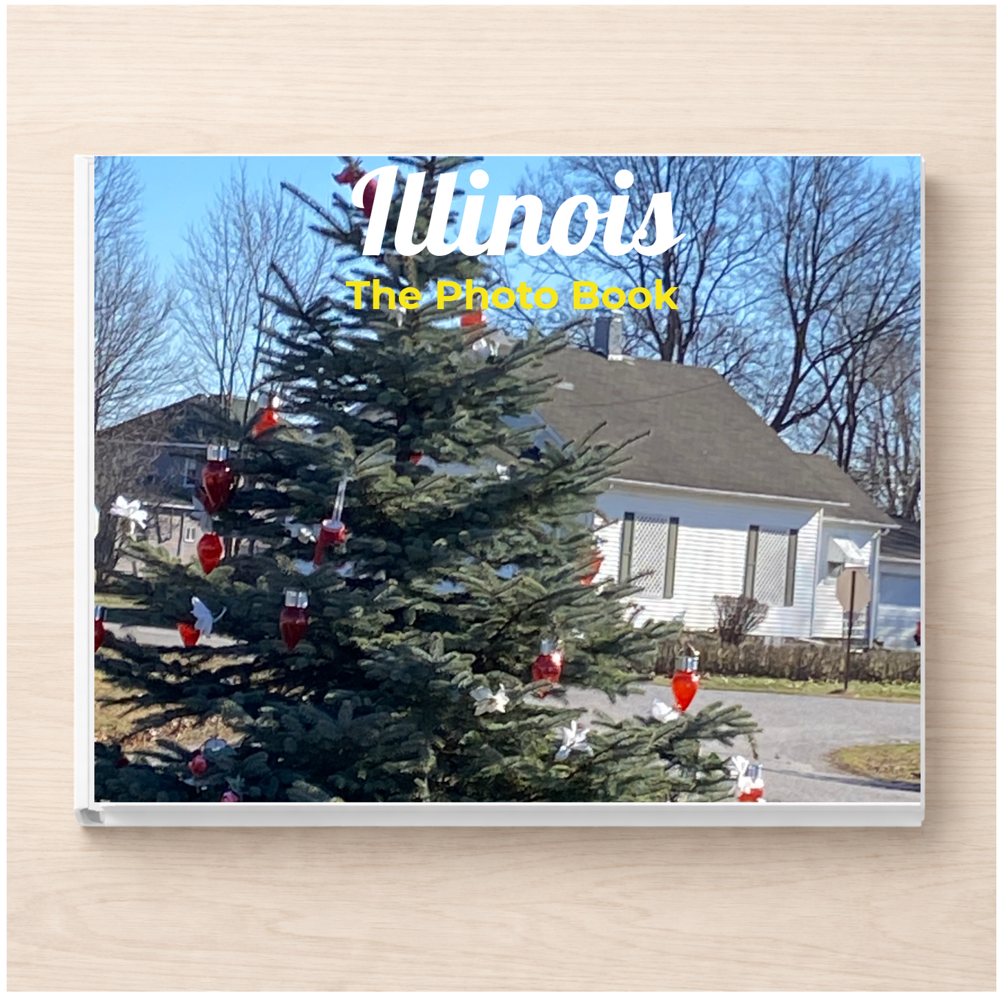 Illinois: The Photo Book
