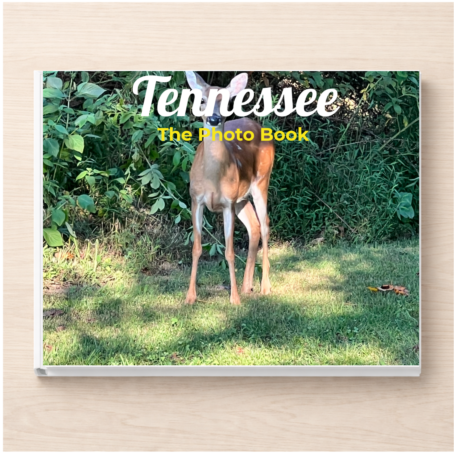 Tennessee: The Photo Book