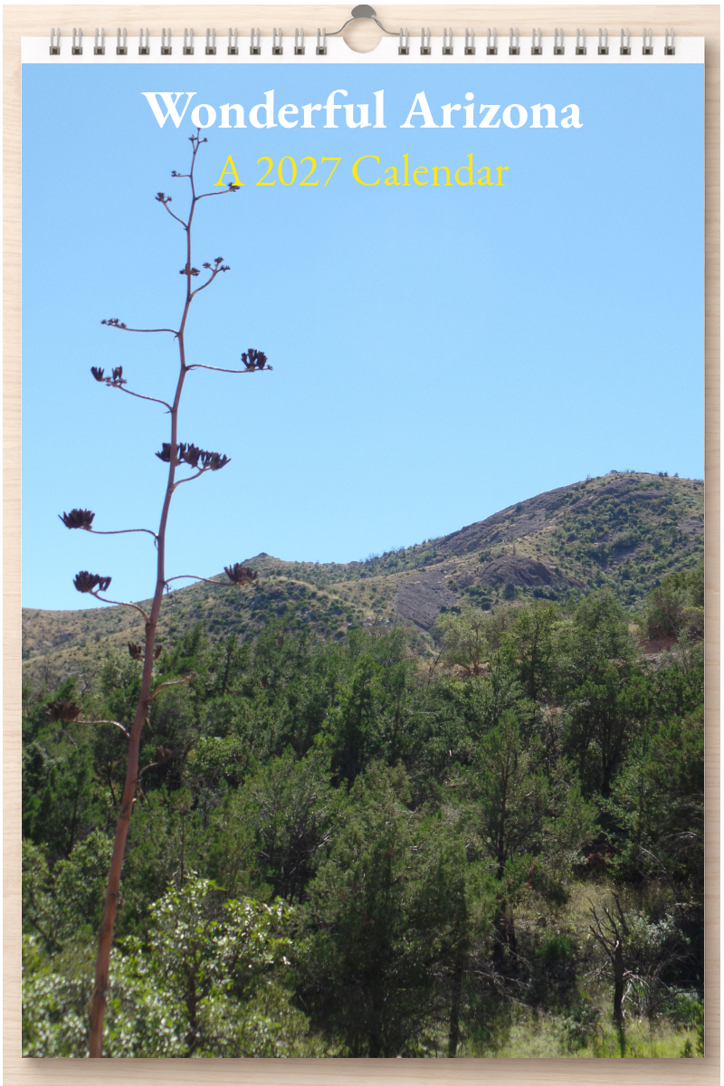 Wonderful Arizona: A 2027 Calendar