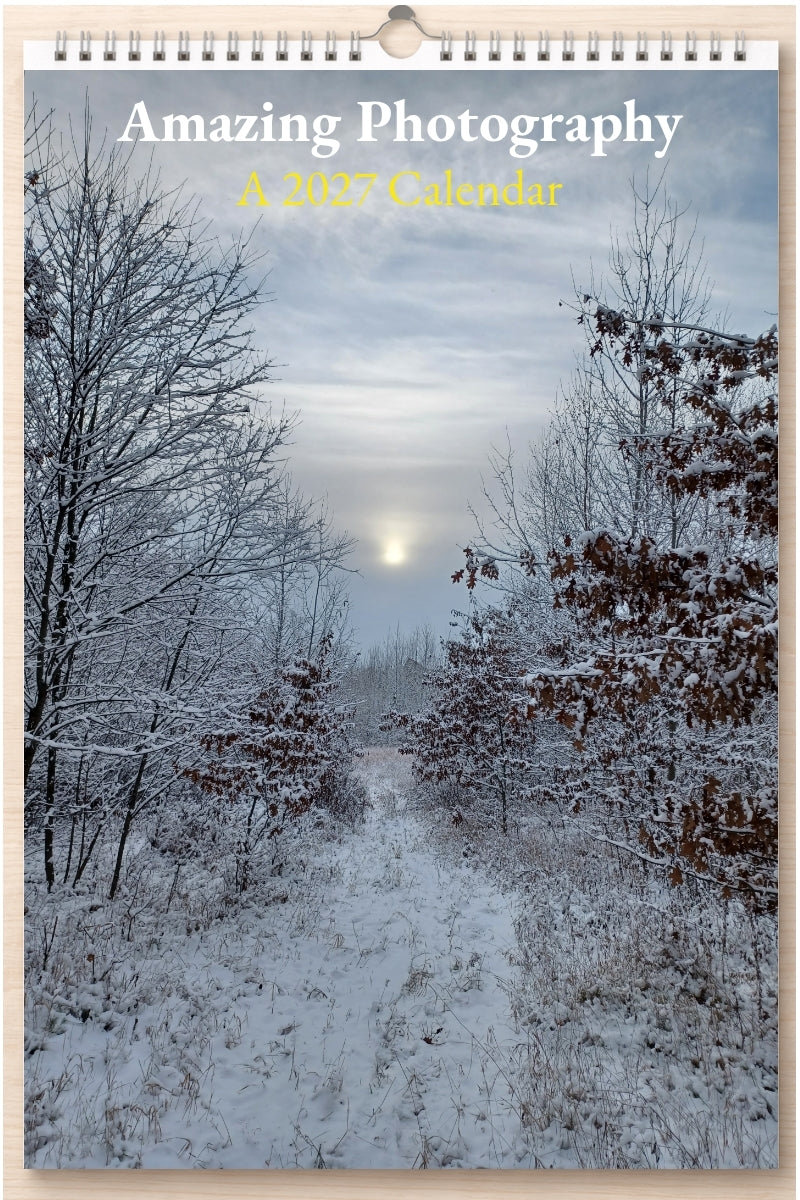 Amazing Photography: A 2027 Calendar