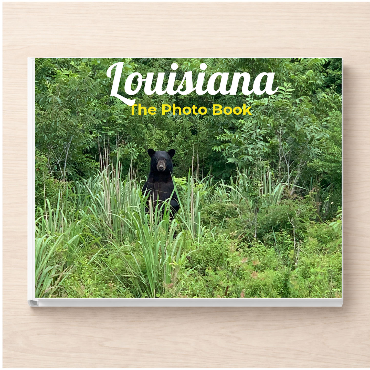 Louisiana: The Photo Book