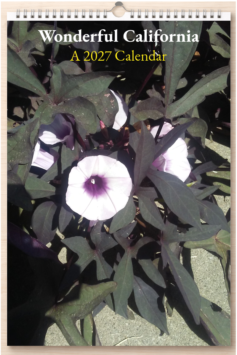 Wonderful California: A 2027 Calendar