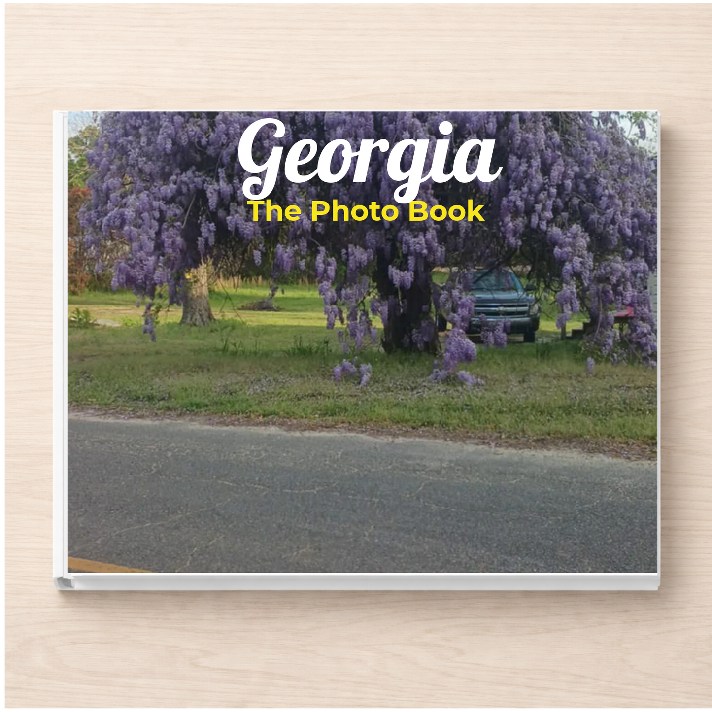 Georgia: The Photo Book