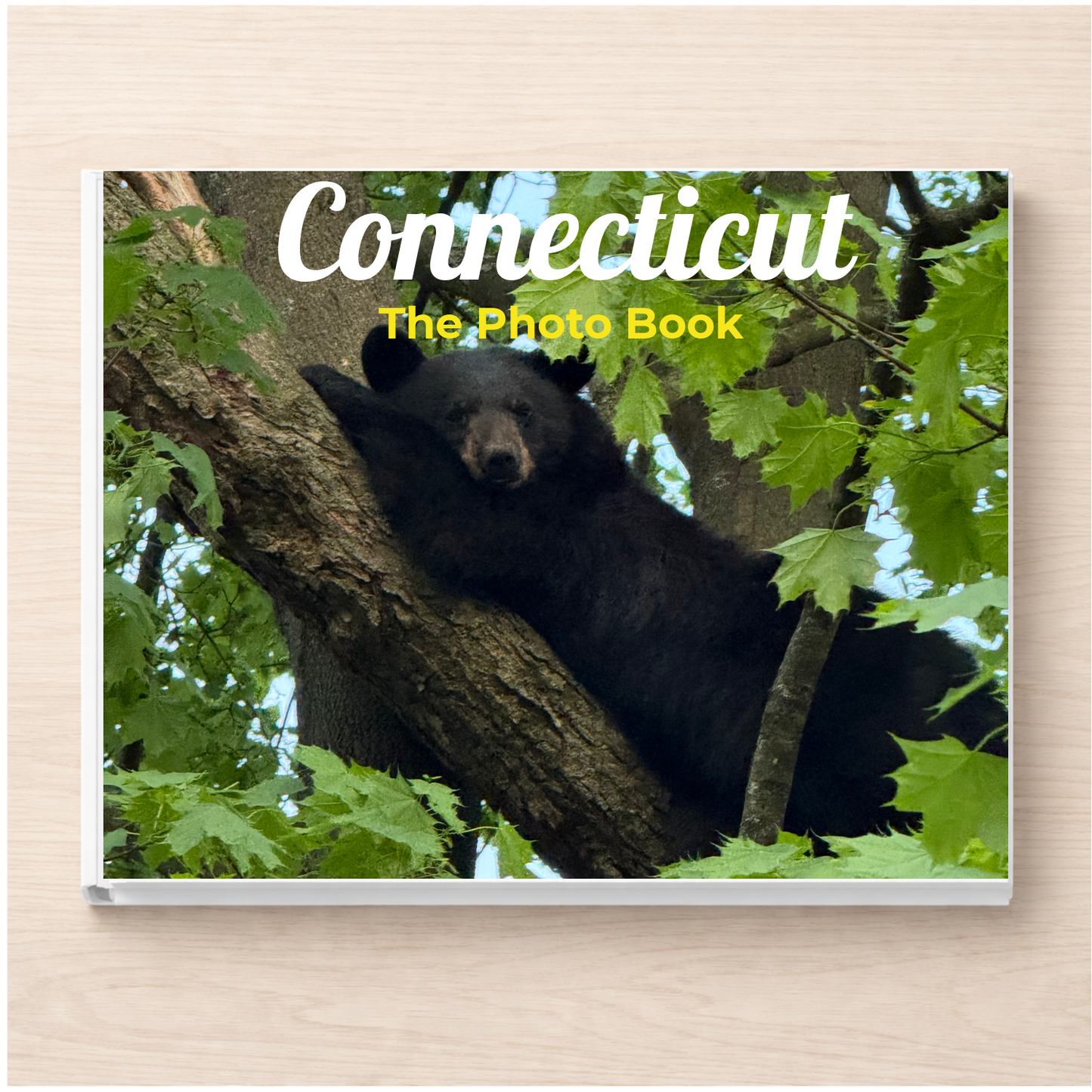 Connecticut: The Photo Book