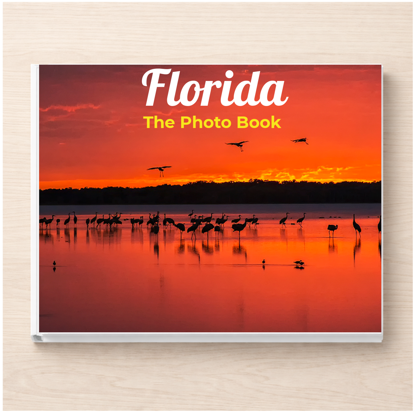 Florida: The Photo Book