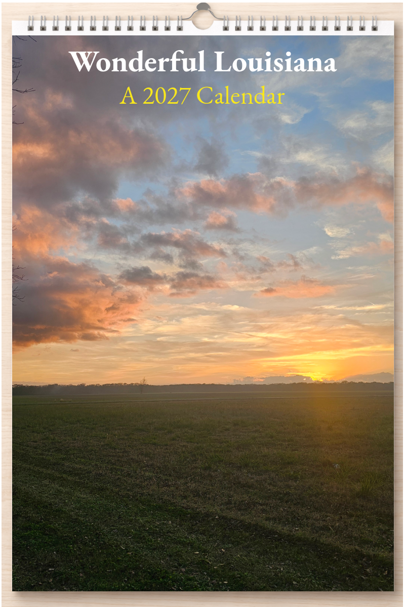Wonderful Louisiana: A 2027 Calendar