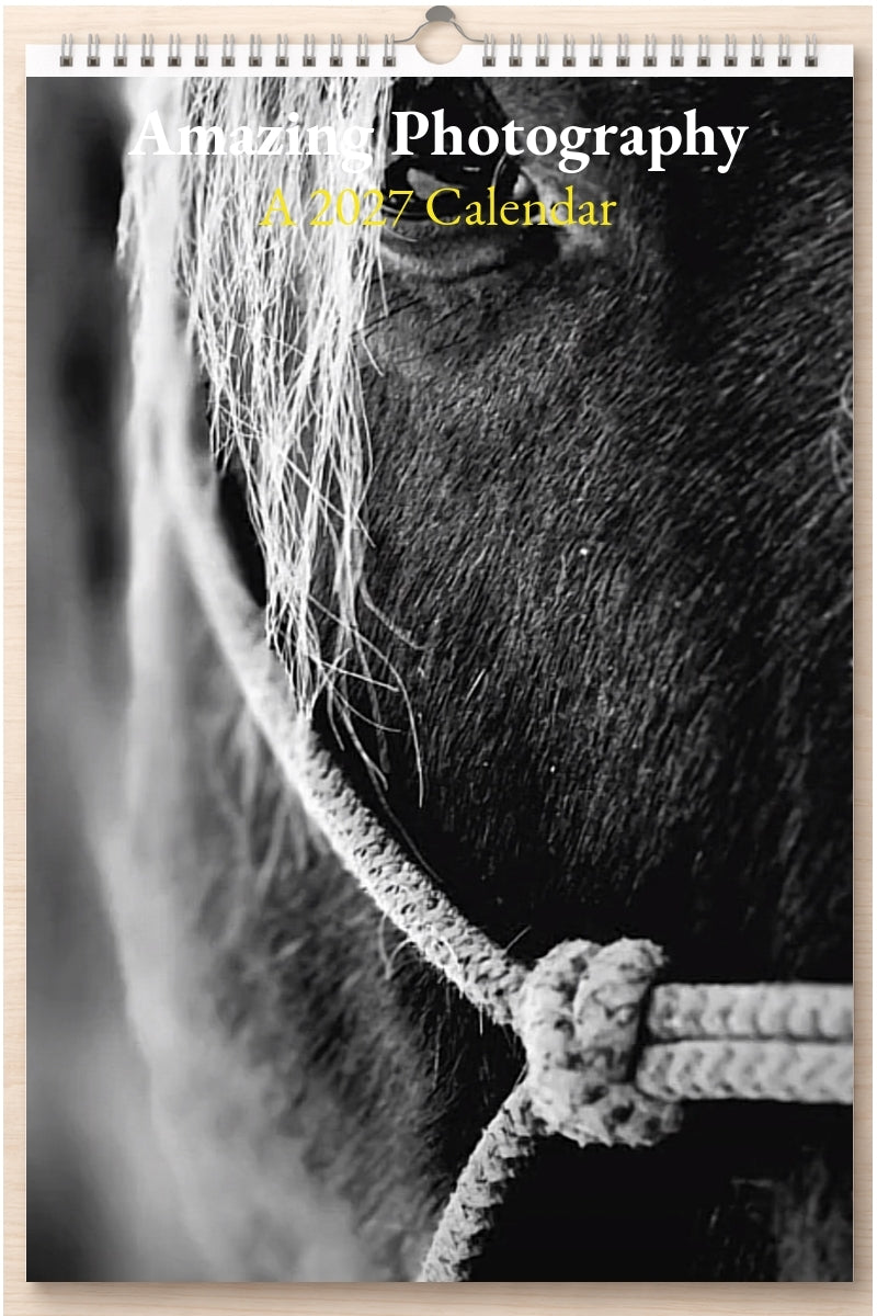 Amazing Photography: A 2027 Calendar
