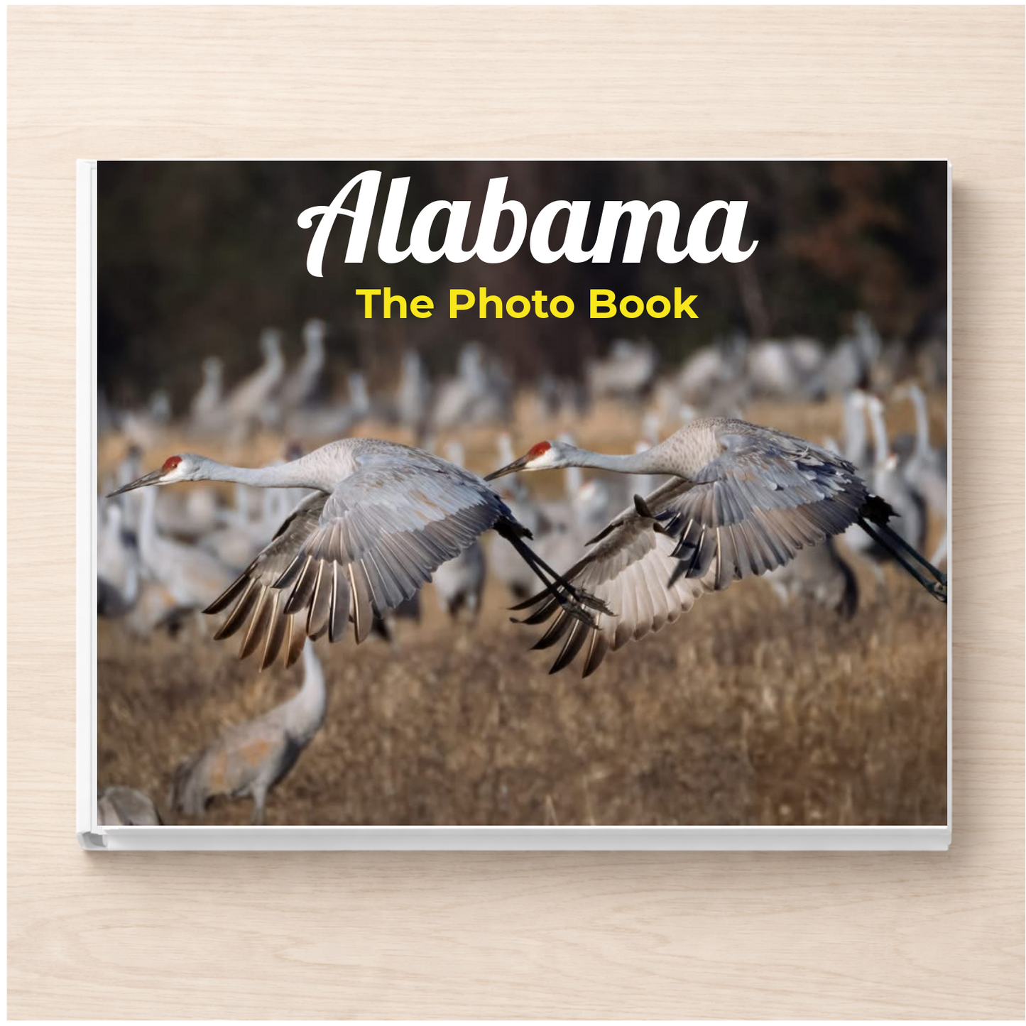 Alabama: The Photo Book