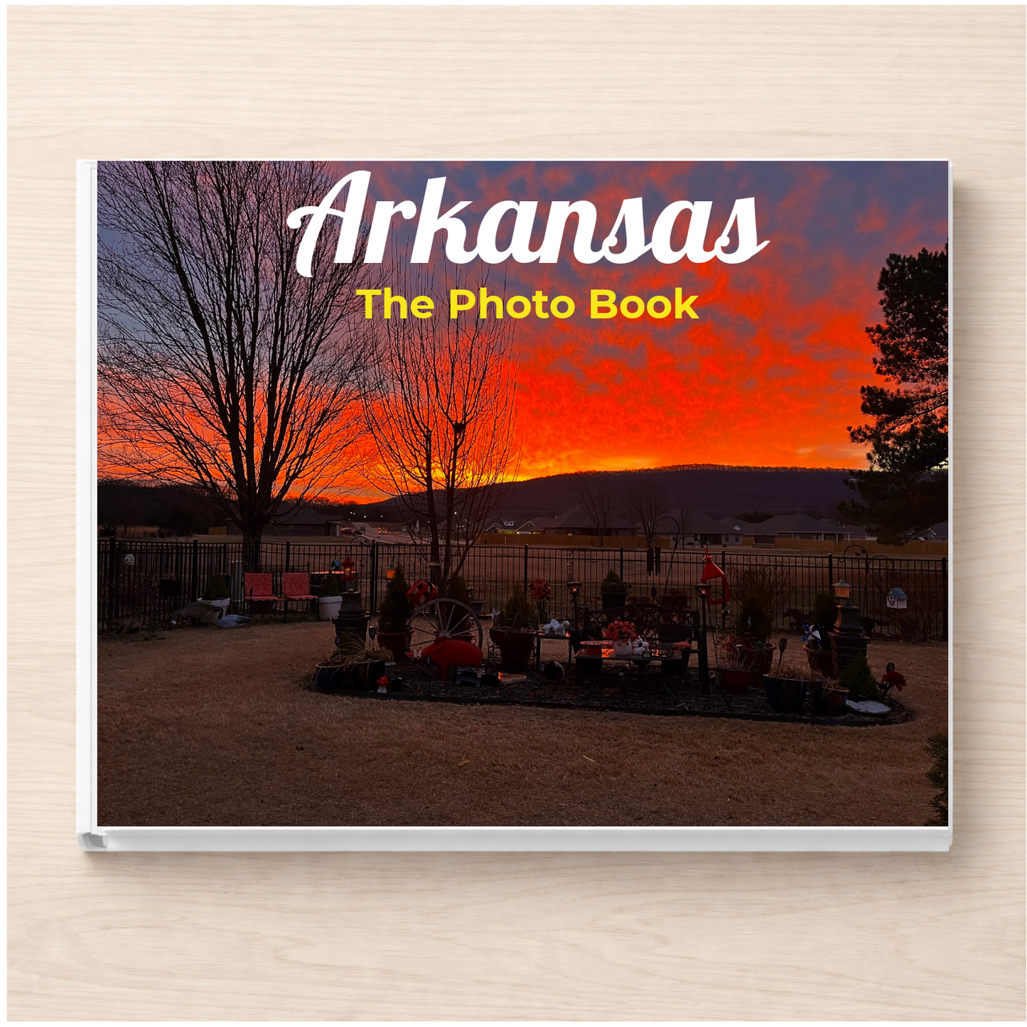 Arkansas: The Photo Book