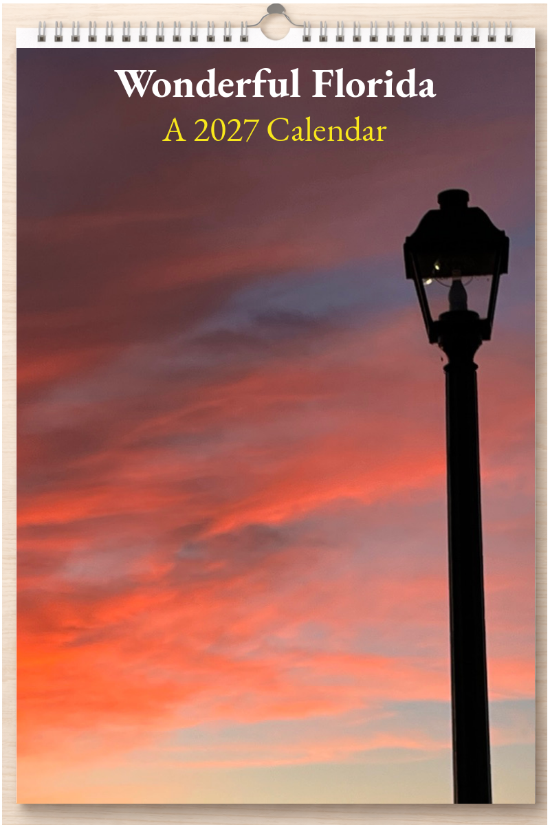 Wonderful Florida: A 2027 Calendar
