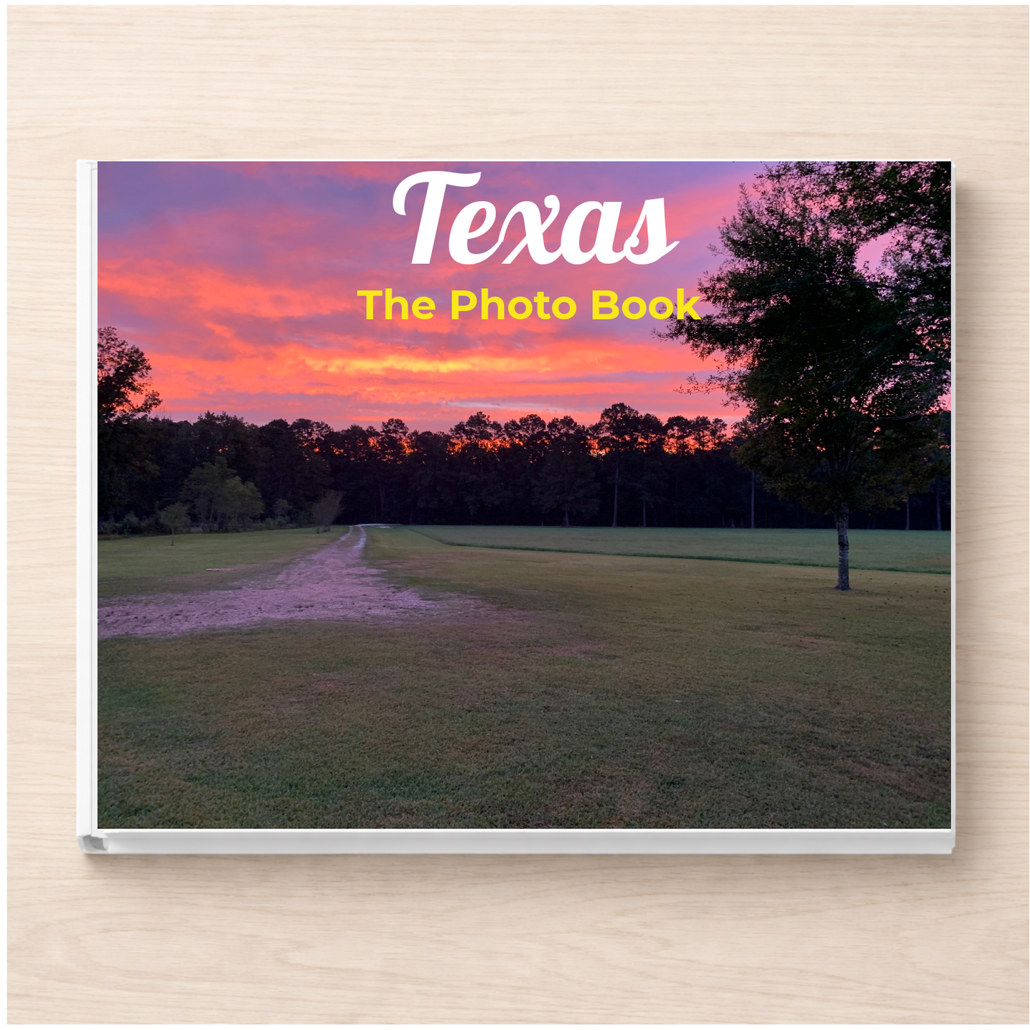Texas: The Photo Book