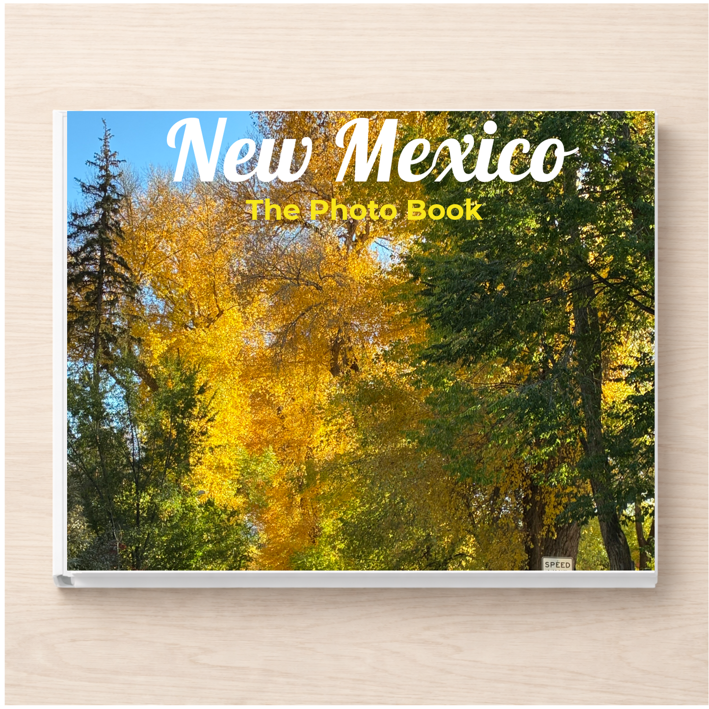 New Mexico: The Photo Book