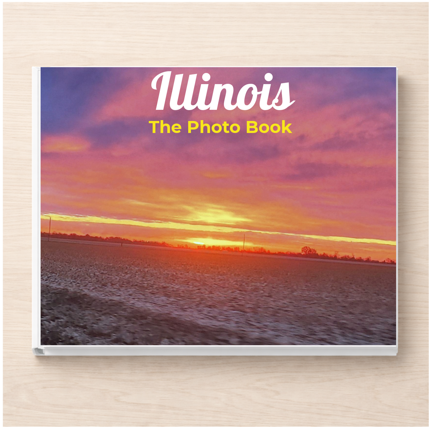 Illinois: The Photo Book