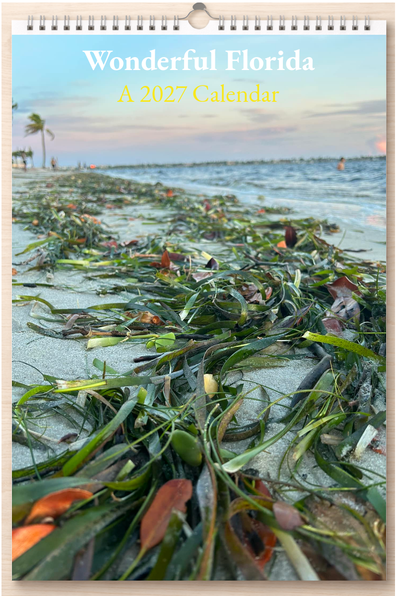Wonderful Florida: A 2027 Calendar