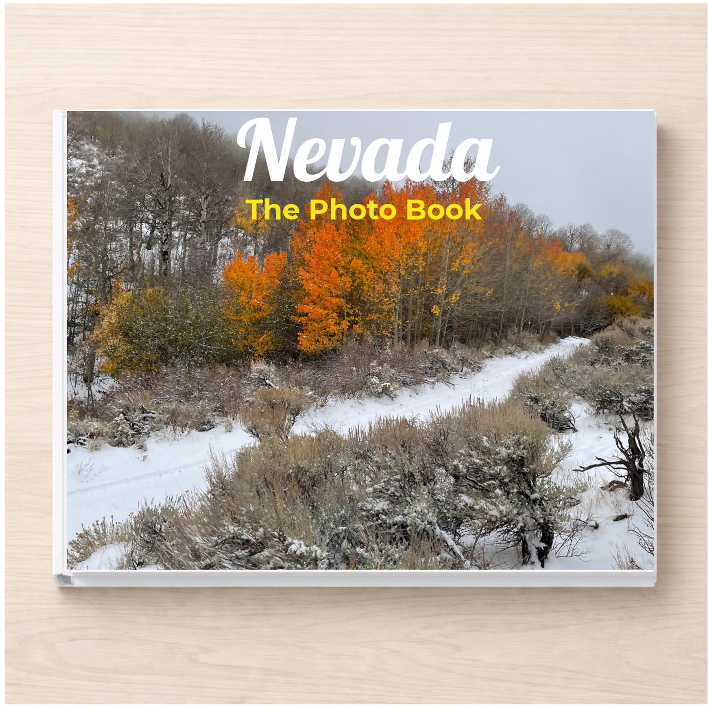 Nevada: The Photo Book