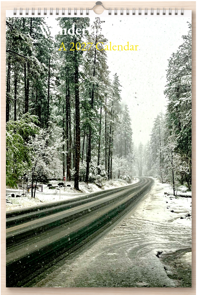 Wonderful Arizona: A 2027 Calendar