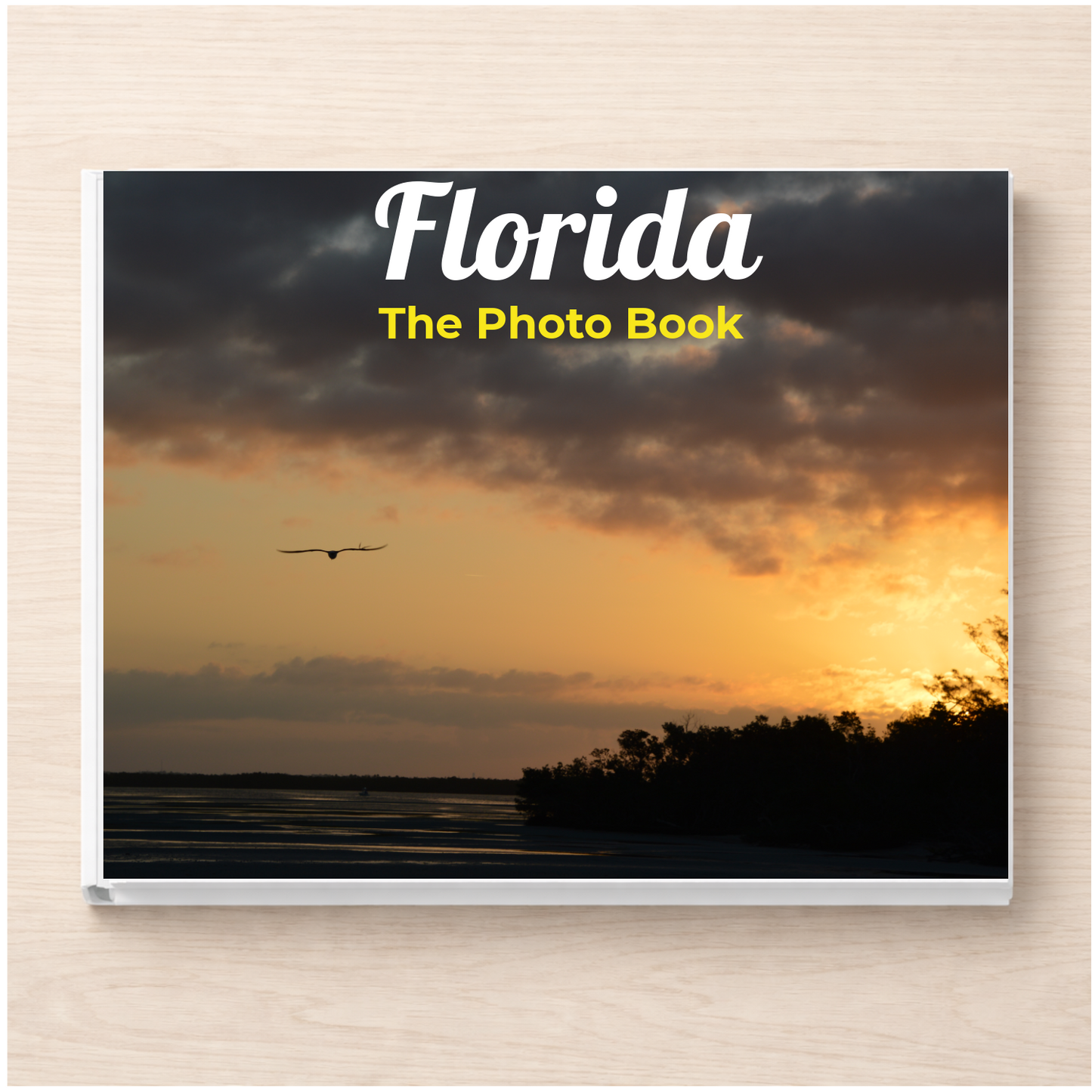 Florida: The Photo Book