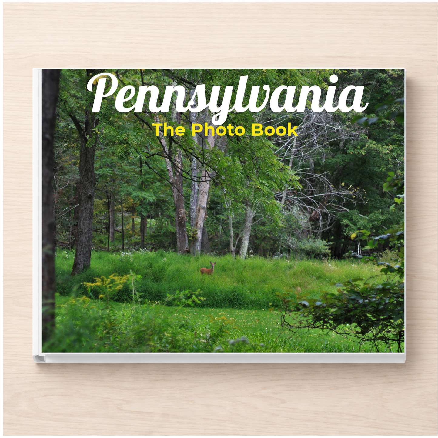Pennsylvania: The Photo Book