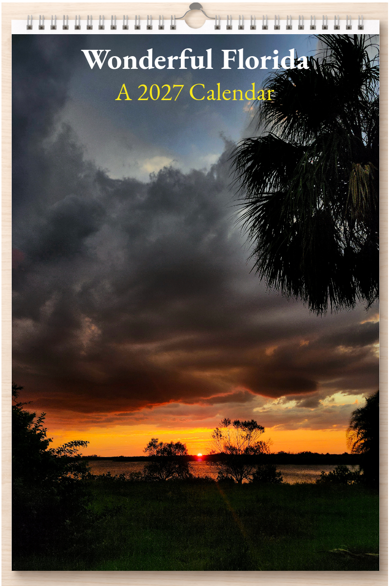 Wonderful Florida: A 2027 Calendar