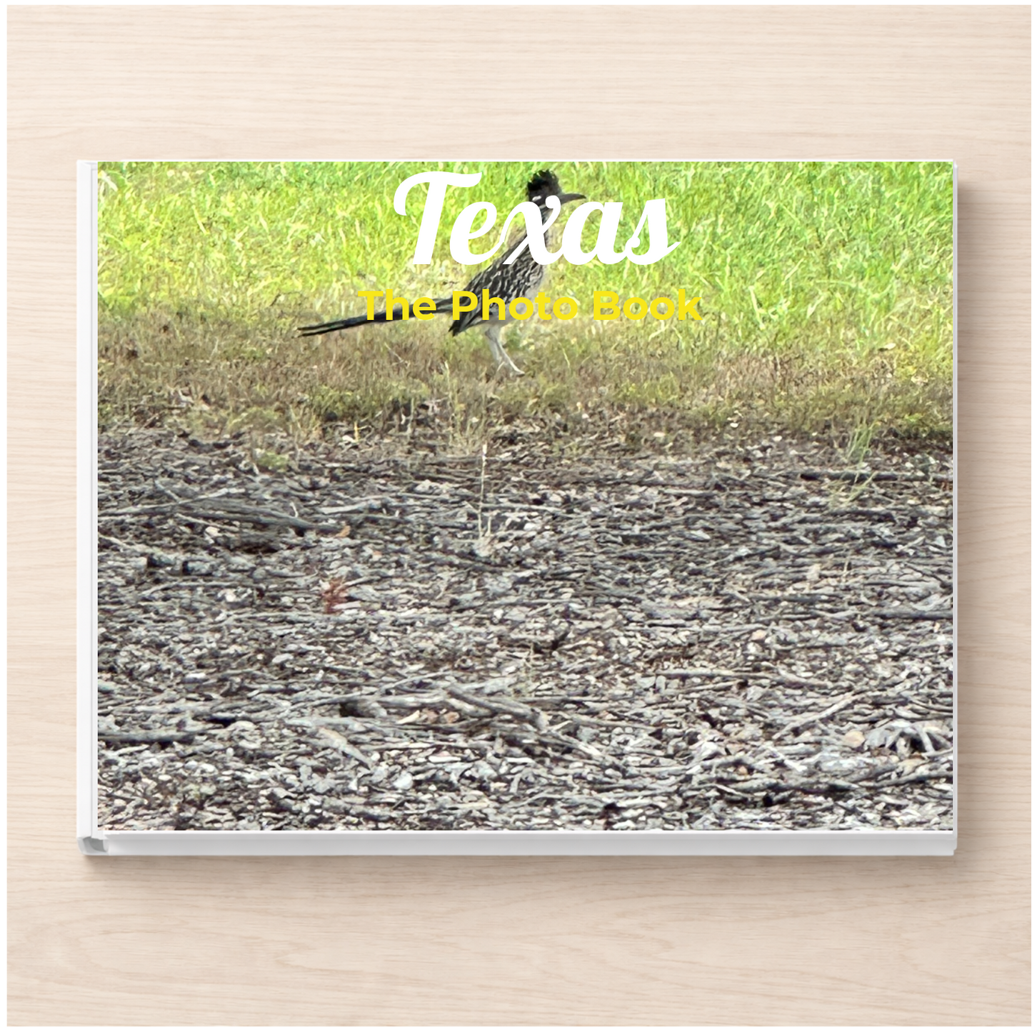 Texas: The Photo Book