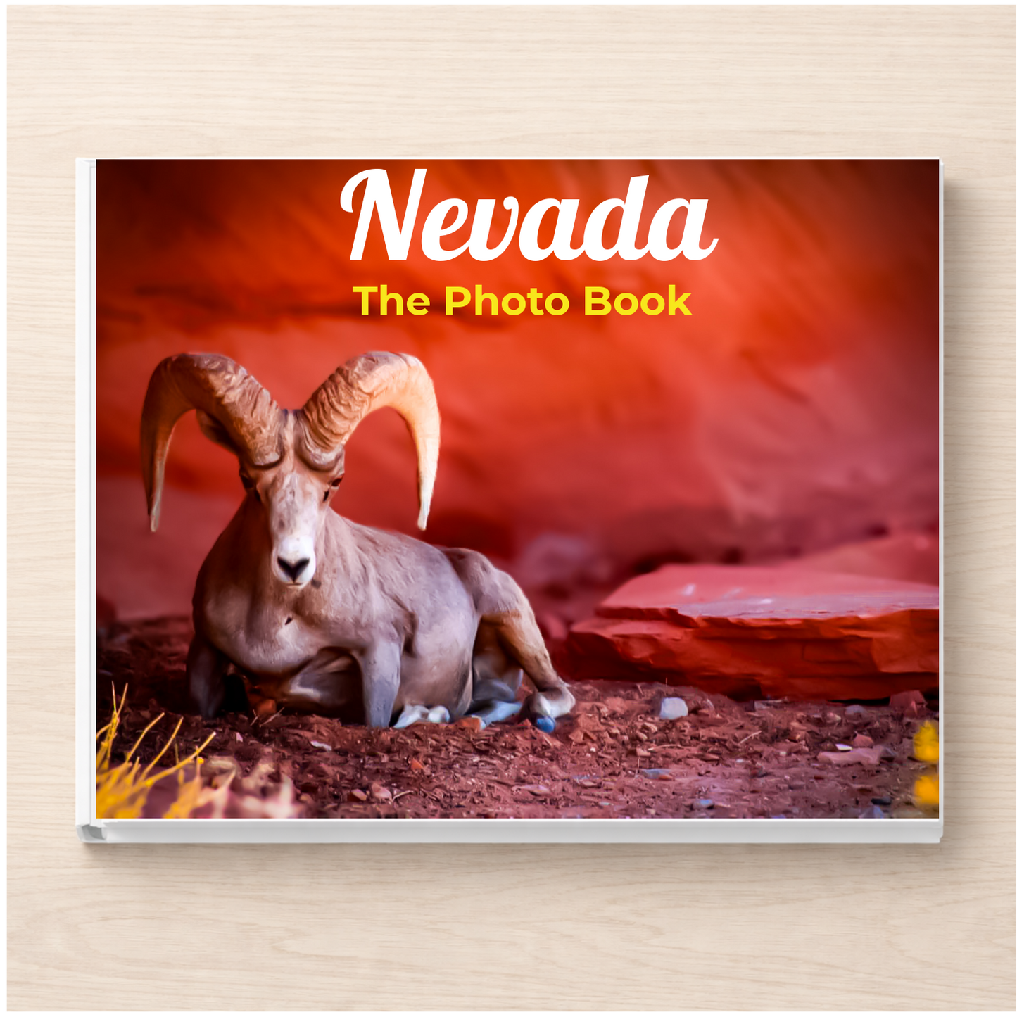 Nevada: The Photo Book