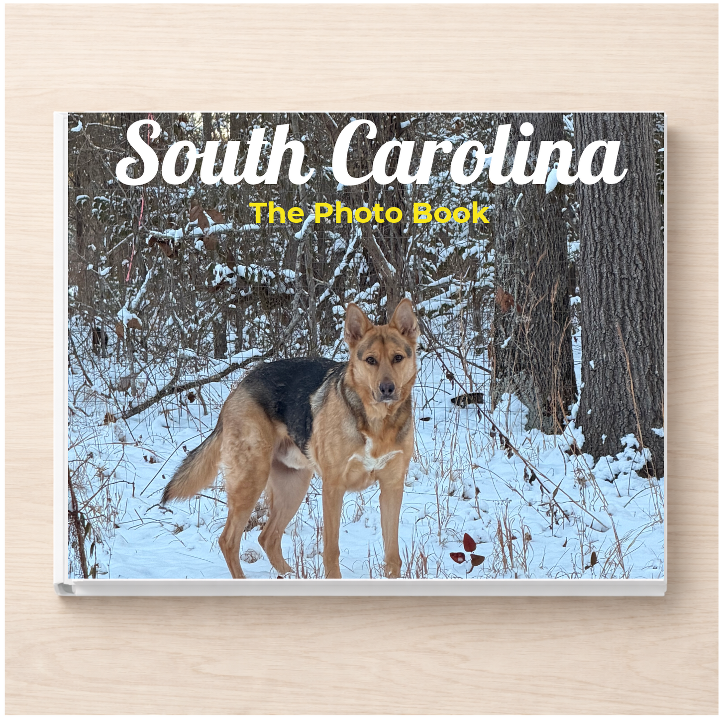 South Carolina: The Photo Book