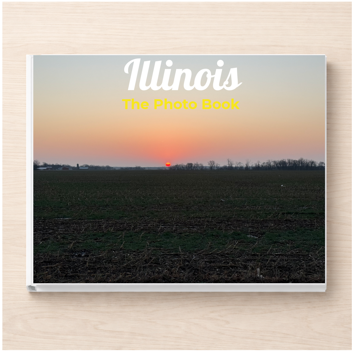 Illinois: The Photo Book