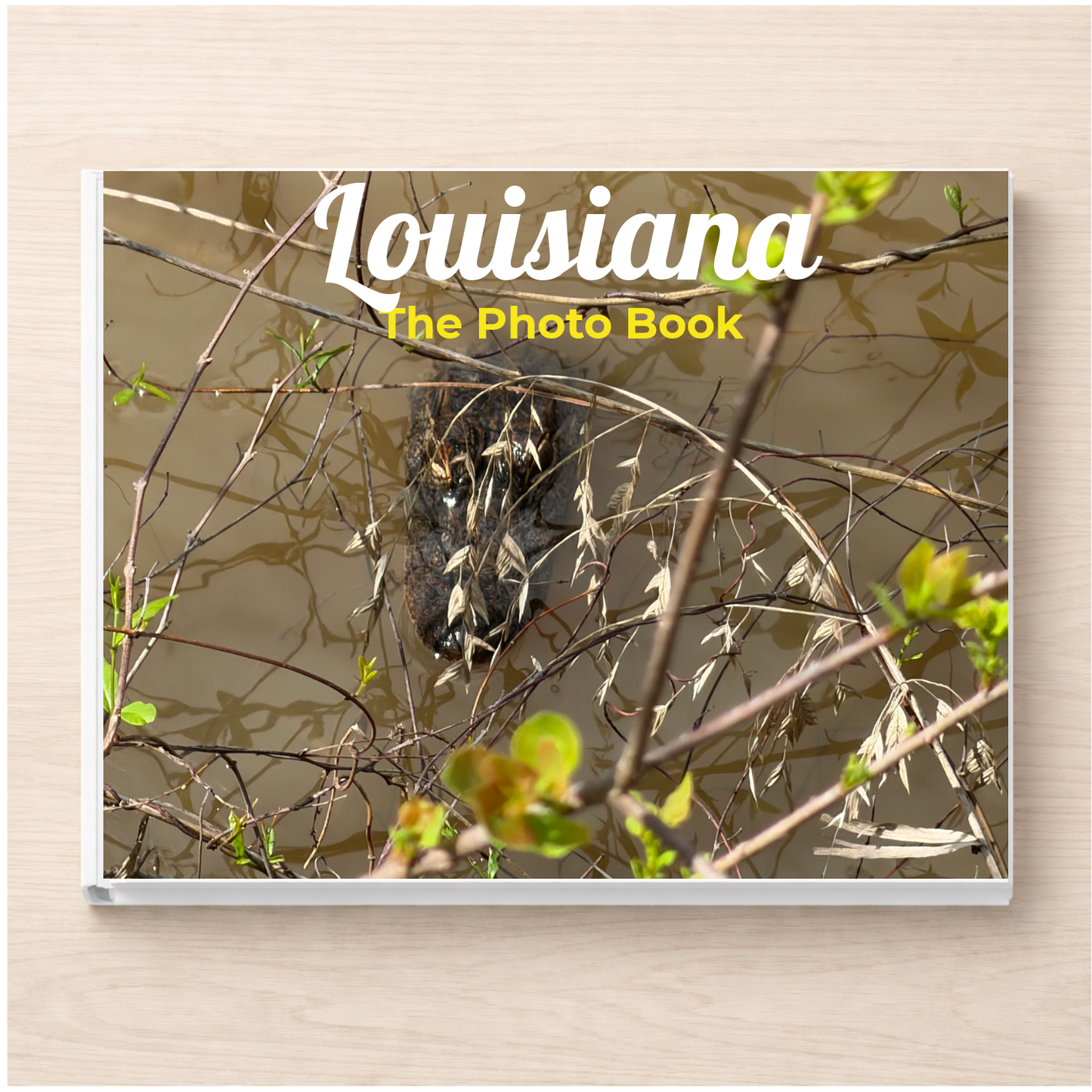 Louisiana: The Photo Book