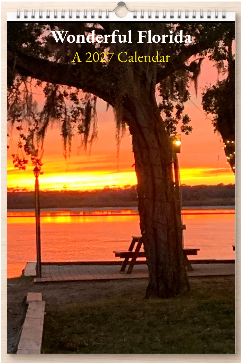 Wonderful Florida: A 2027 Calendar