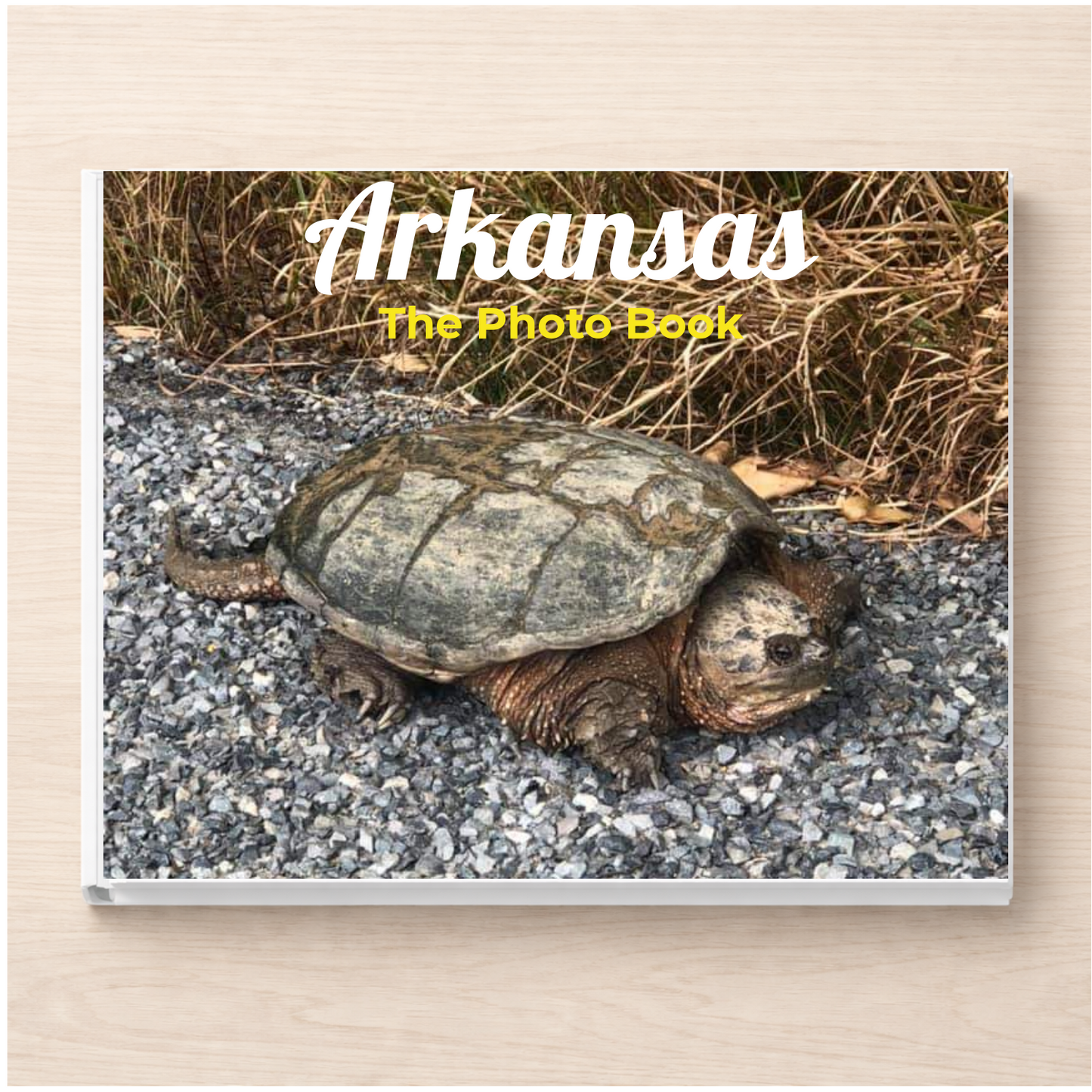Arkansas: The Photo Book