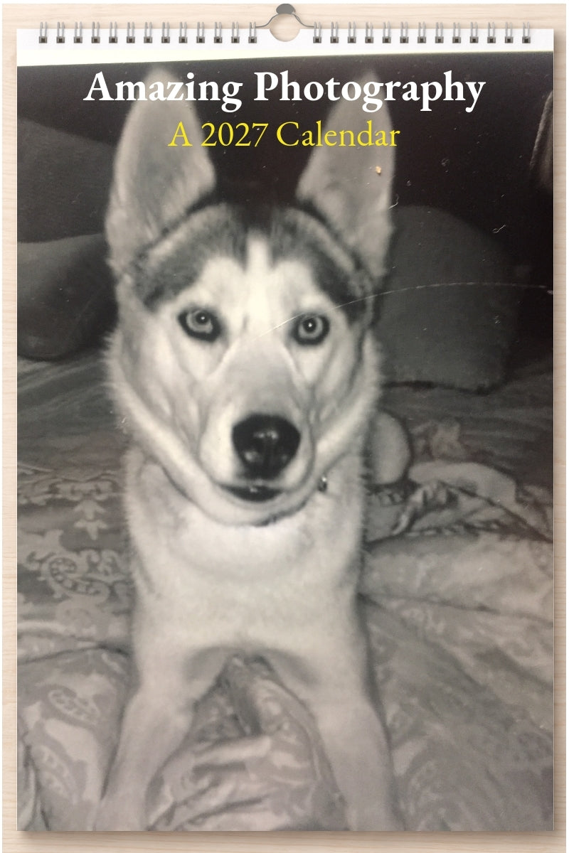 Amazing Photography: A 2027 Calendar