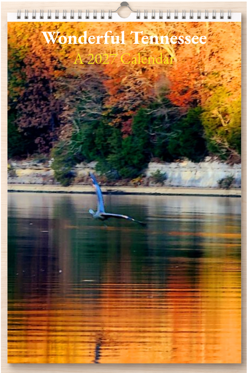 Wonderful Tennessee: A 2027 Calendar