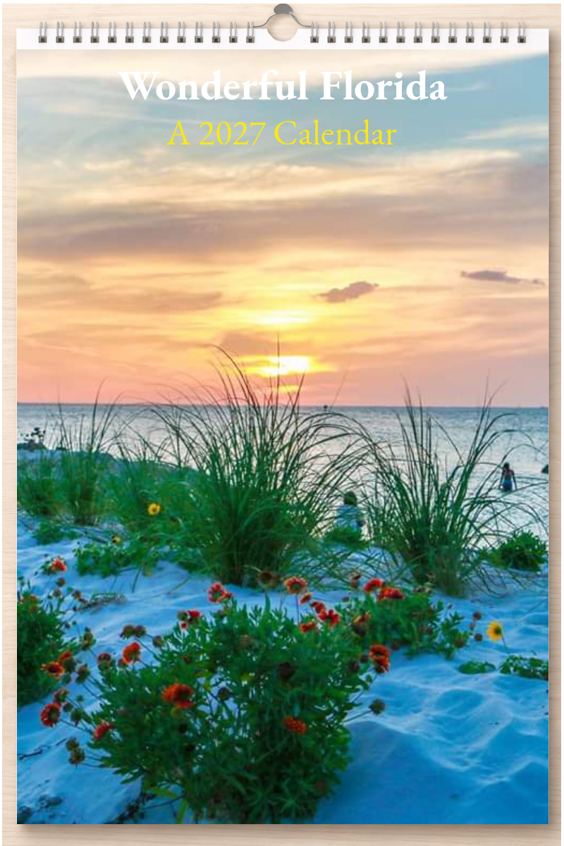 Wonderful Florida: A 2027 Calendar