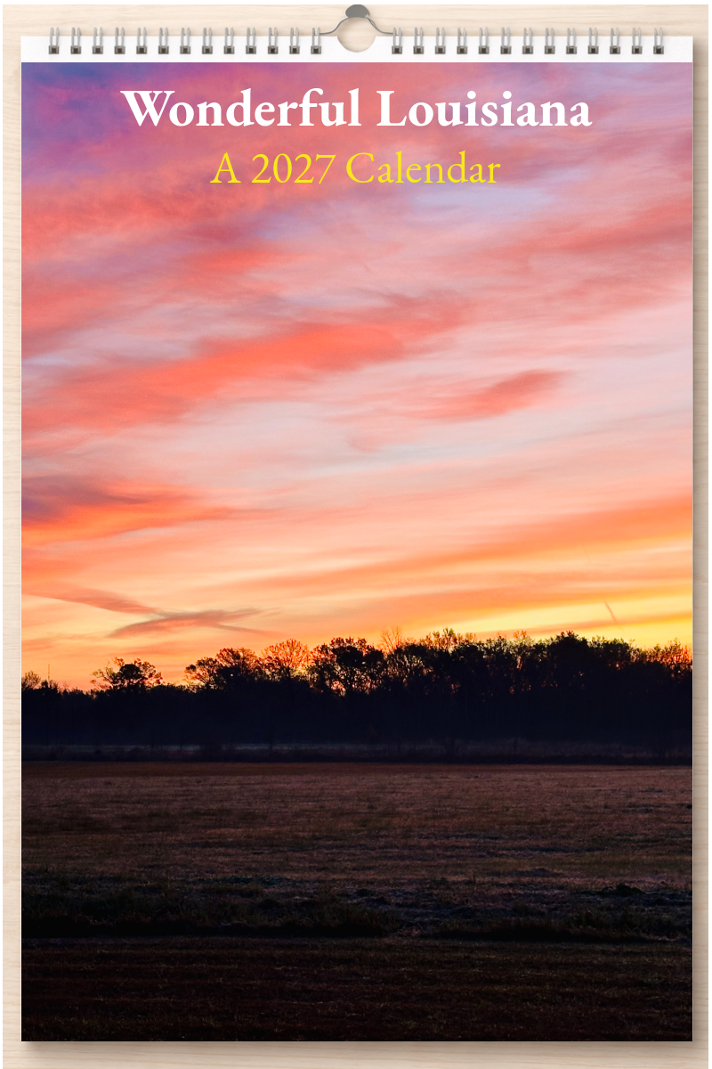 Wonderful Louisiana: A 2027 Calendar