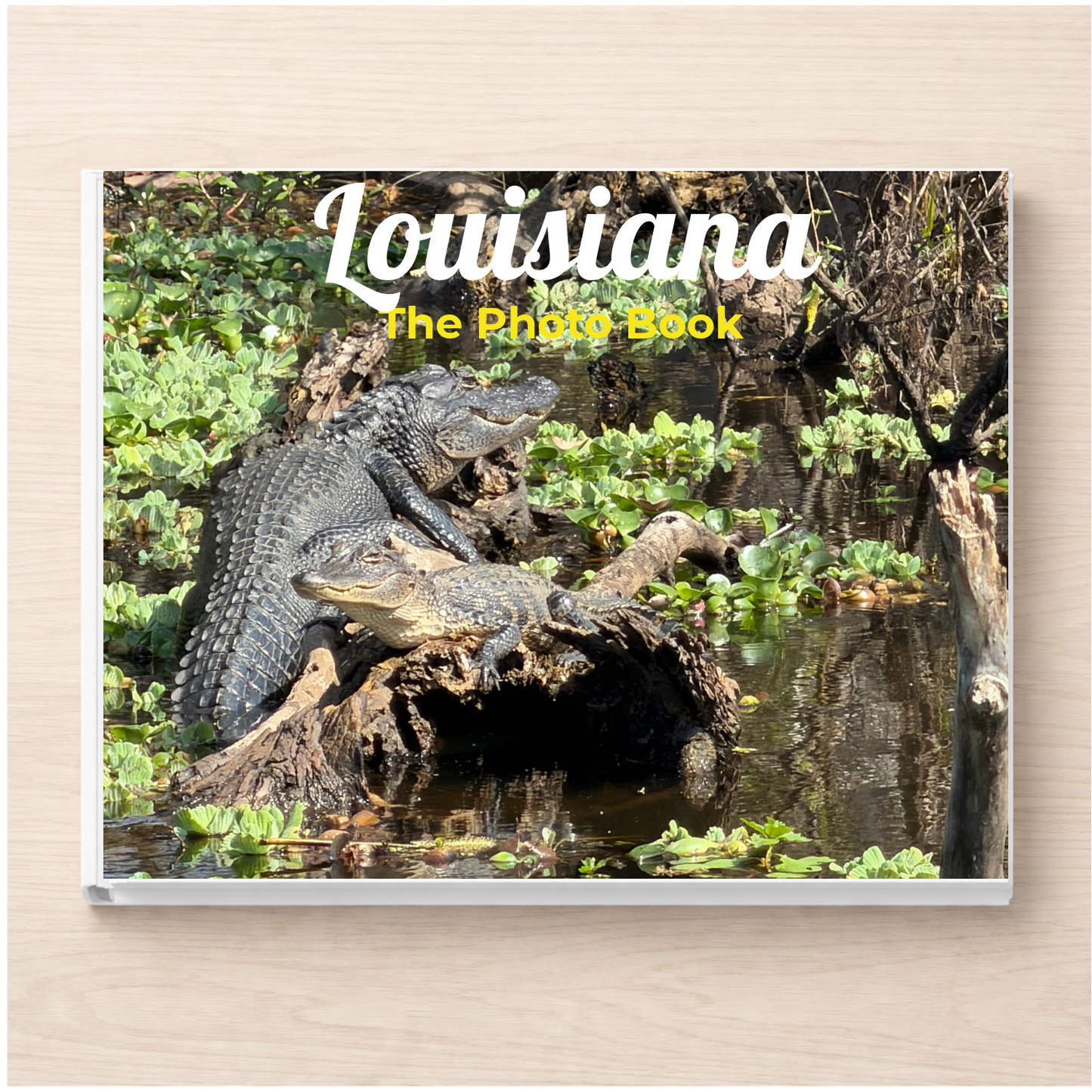 Louisiana: The Photo Book