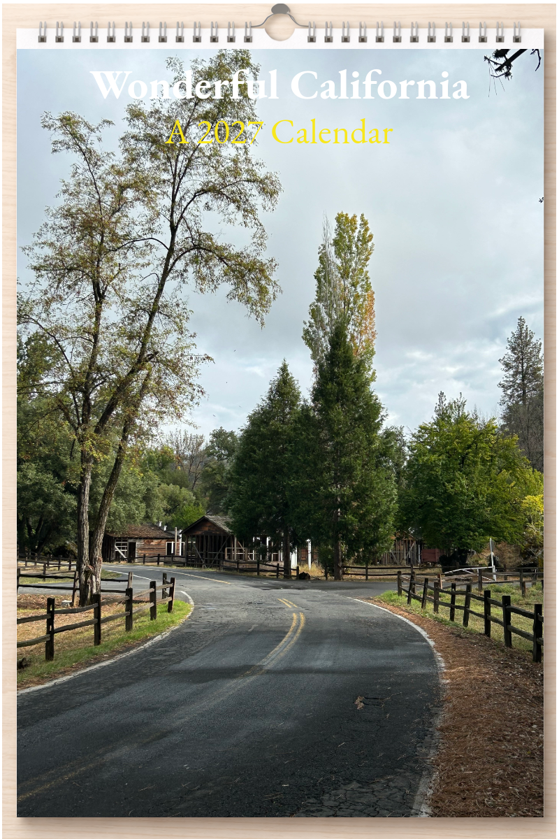 Wonderful California: A 2027 Calendar