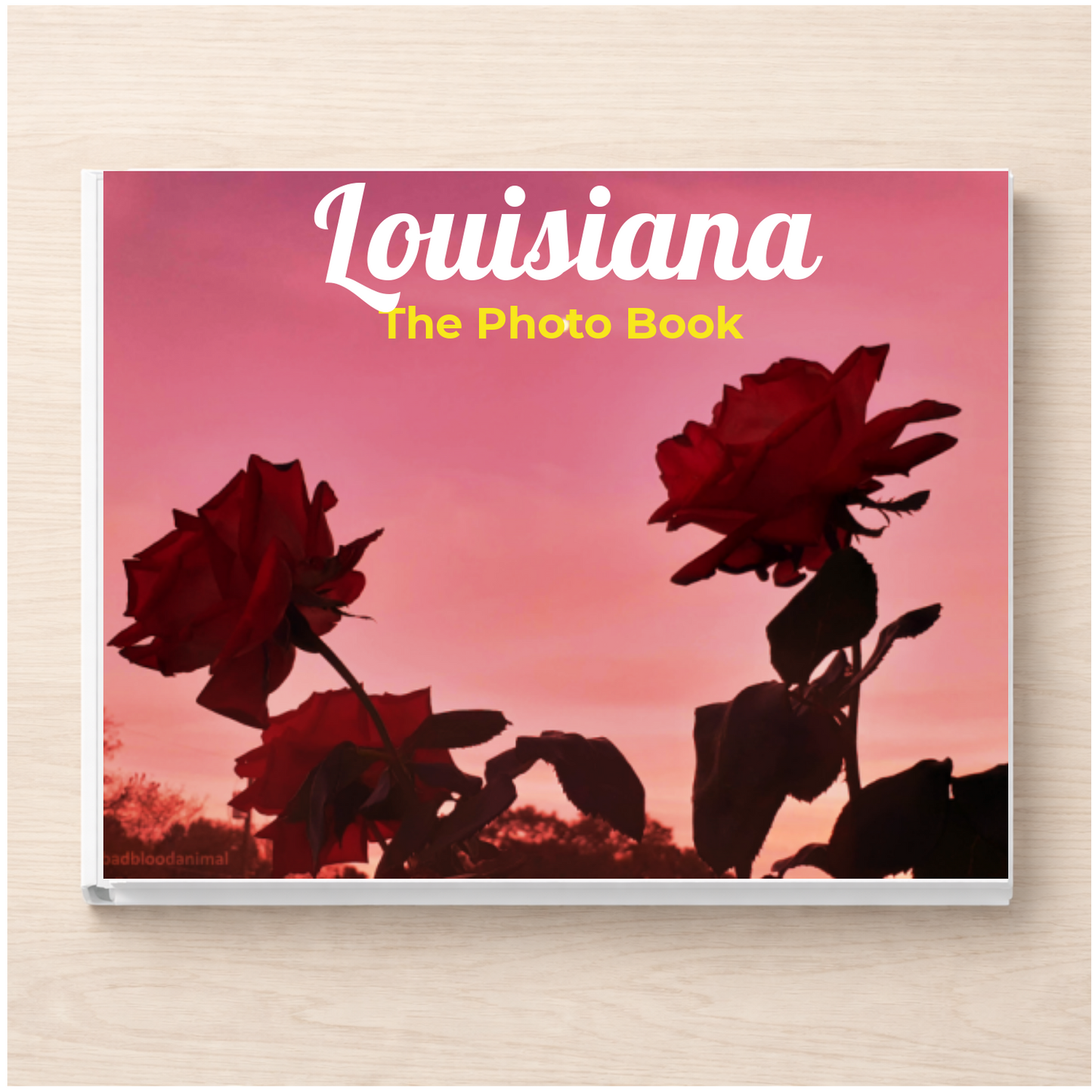 Louisiana: The Photo Book