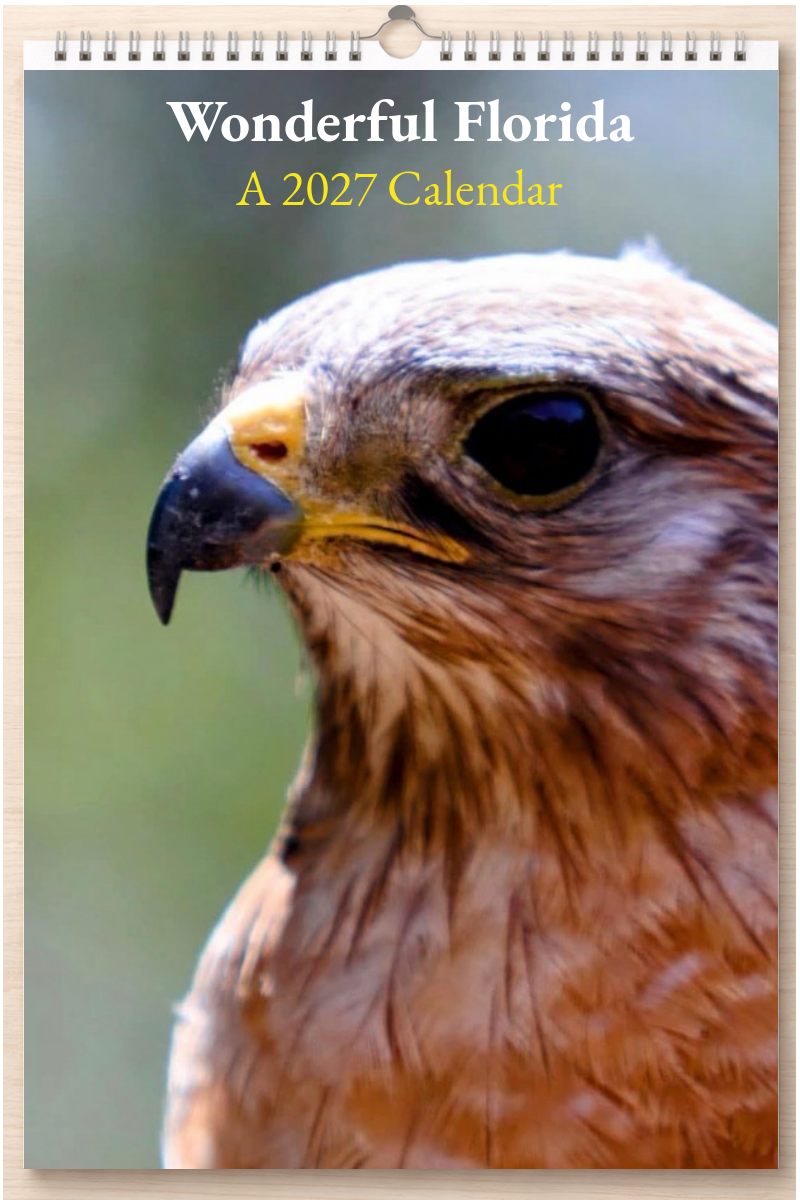 Wonderful Florida: A 2027 Calendar