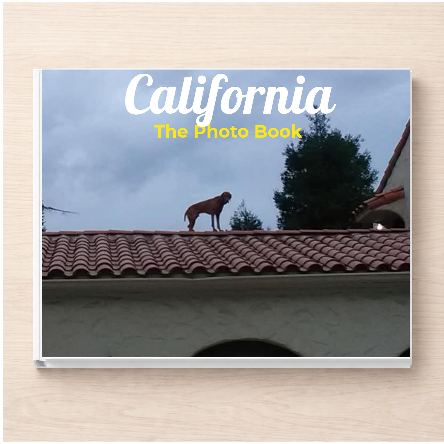California: The Photo Book